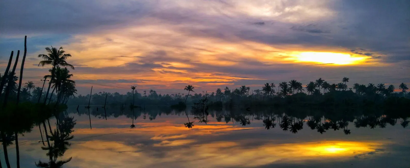 Trees surrounding a lake during golden hour